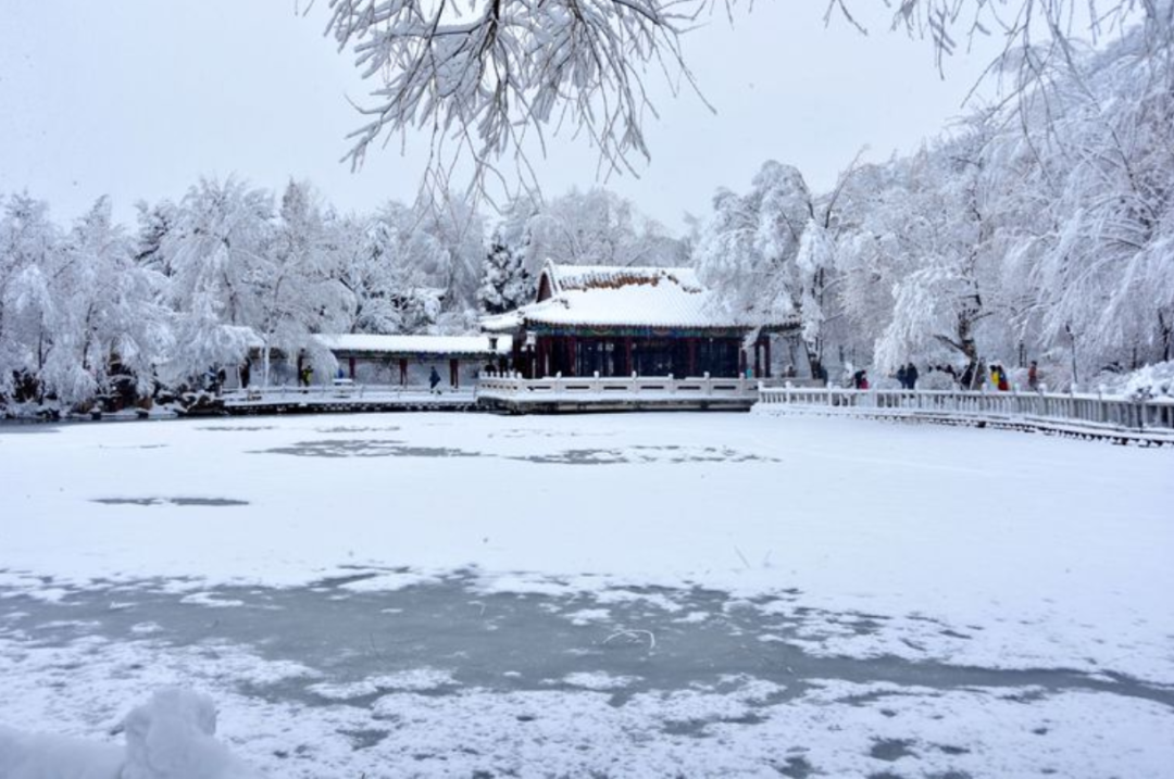 遇见最美的冬天，遇一场雪，在最美的诗词里遇雪-第4张图片-诗句网