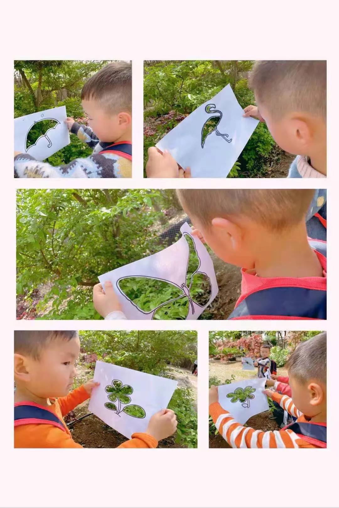 厚坡镇中心幼儿园户外实践活动