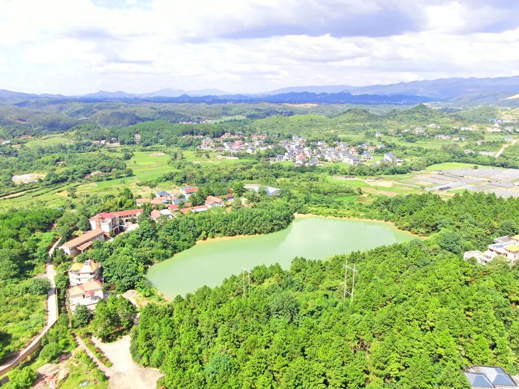 黄秀佳：返乡创业十八载 昔日穷村变景区