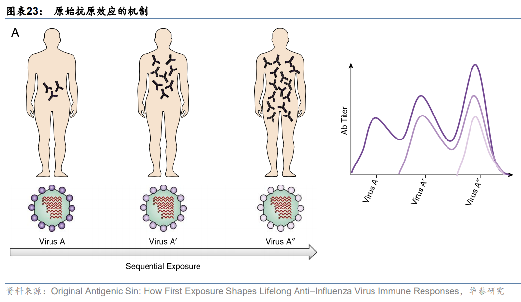 新冠疫苗产业分析：从应接尽接到理想免疫