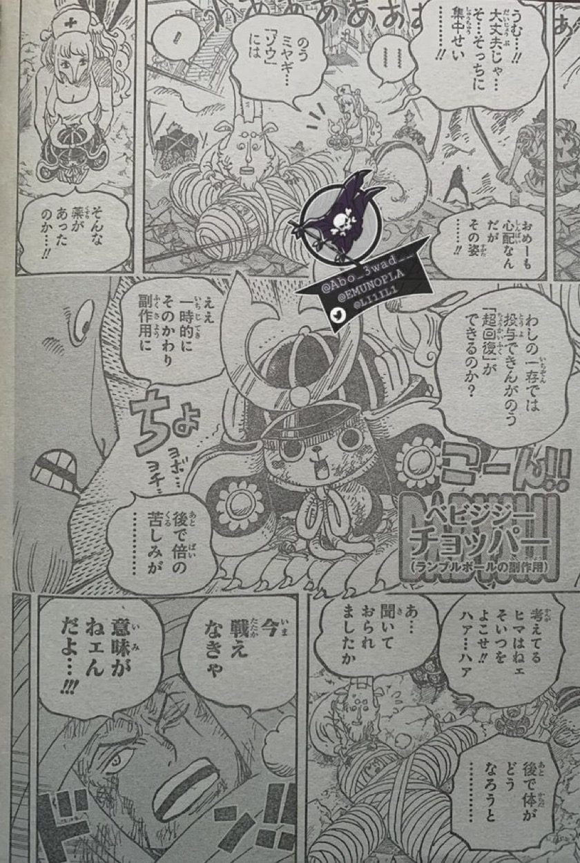 海賊王1017話超詳細全文情報翻譯 奎因和福茲弗過去的細節 動漫王國