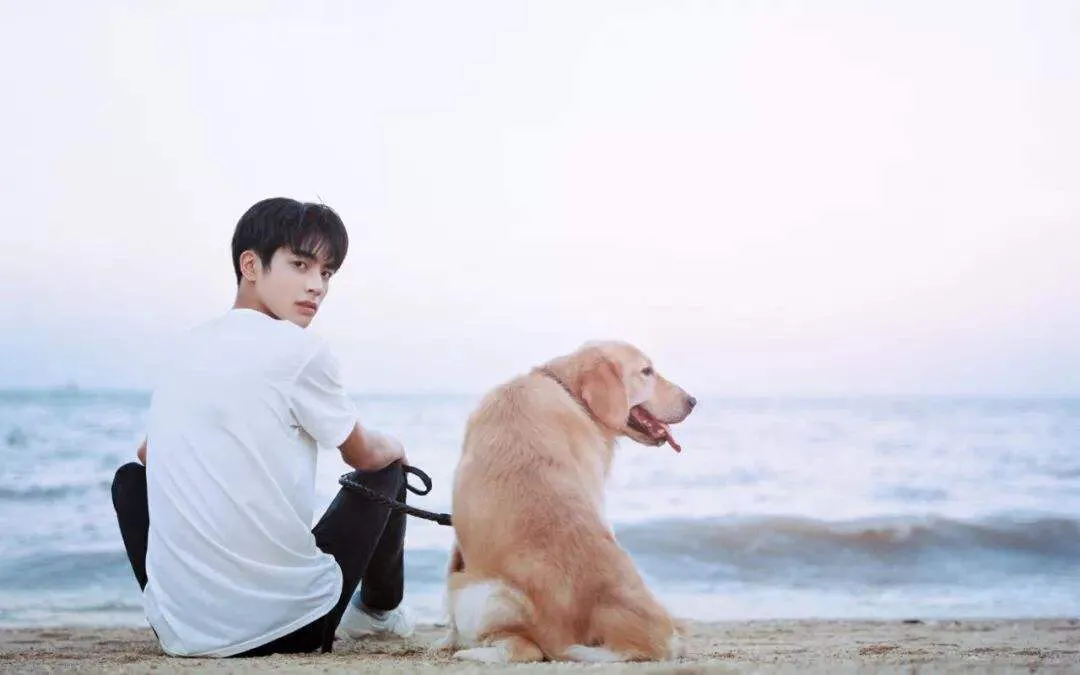 人气偶像来到《向往的生活》之后，居然全都能