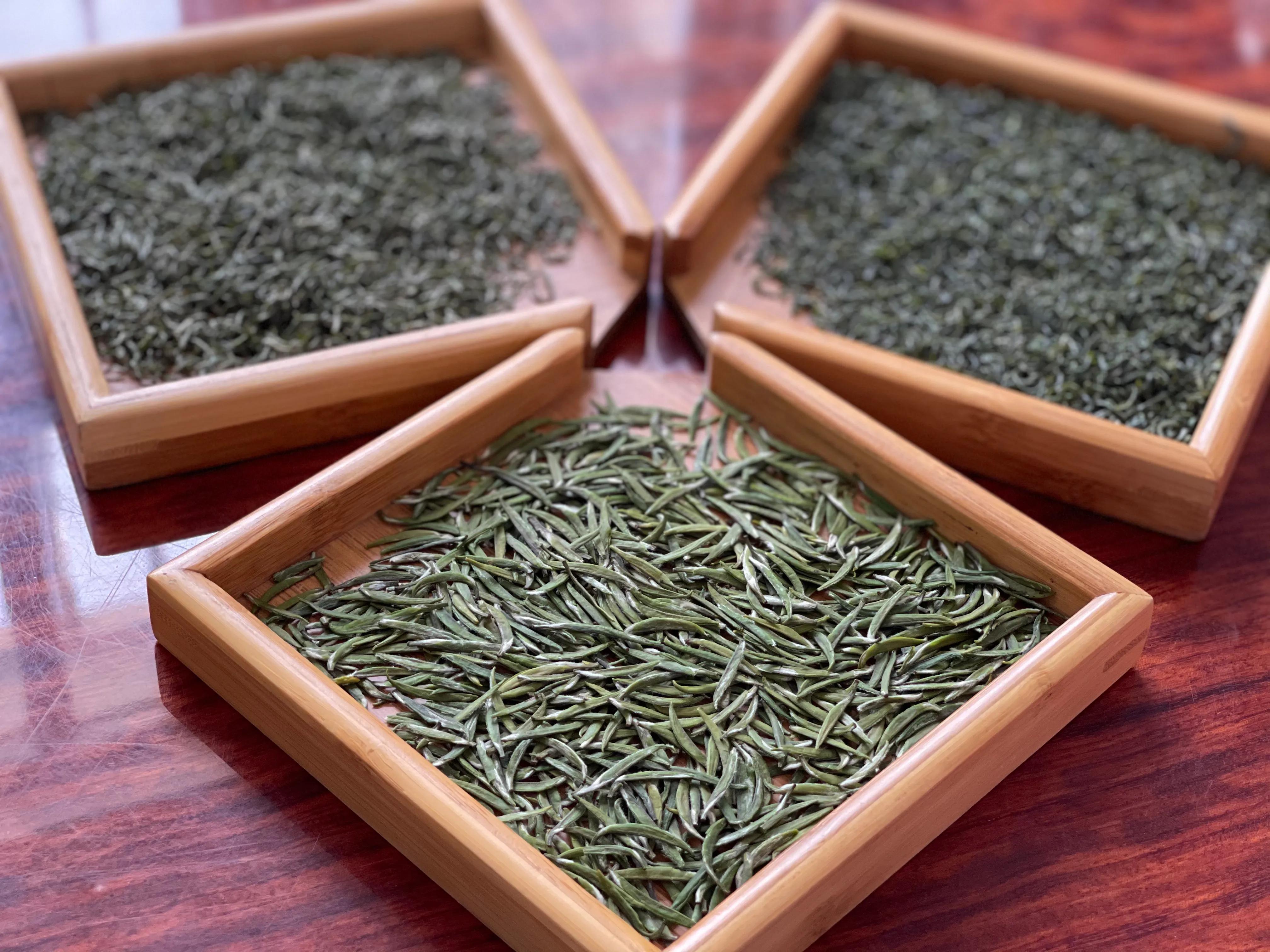 生态镇巴，名茶之乡，在镇巴最美茶园采茶、品茗、观云海