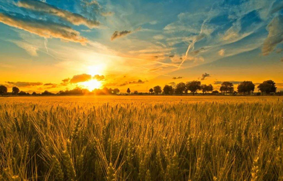 聯合國：繼新冠疫情跟糧食危機後，下個世界性危機或已即將降臨