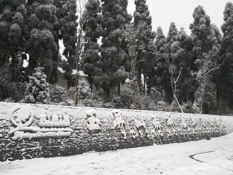 美丽山水城，休闲旅游地——2021，洪雅等你