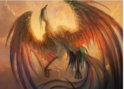 丹穴之山，有鸟焉，世界上最终一只凤凰未解的谜团