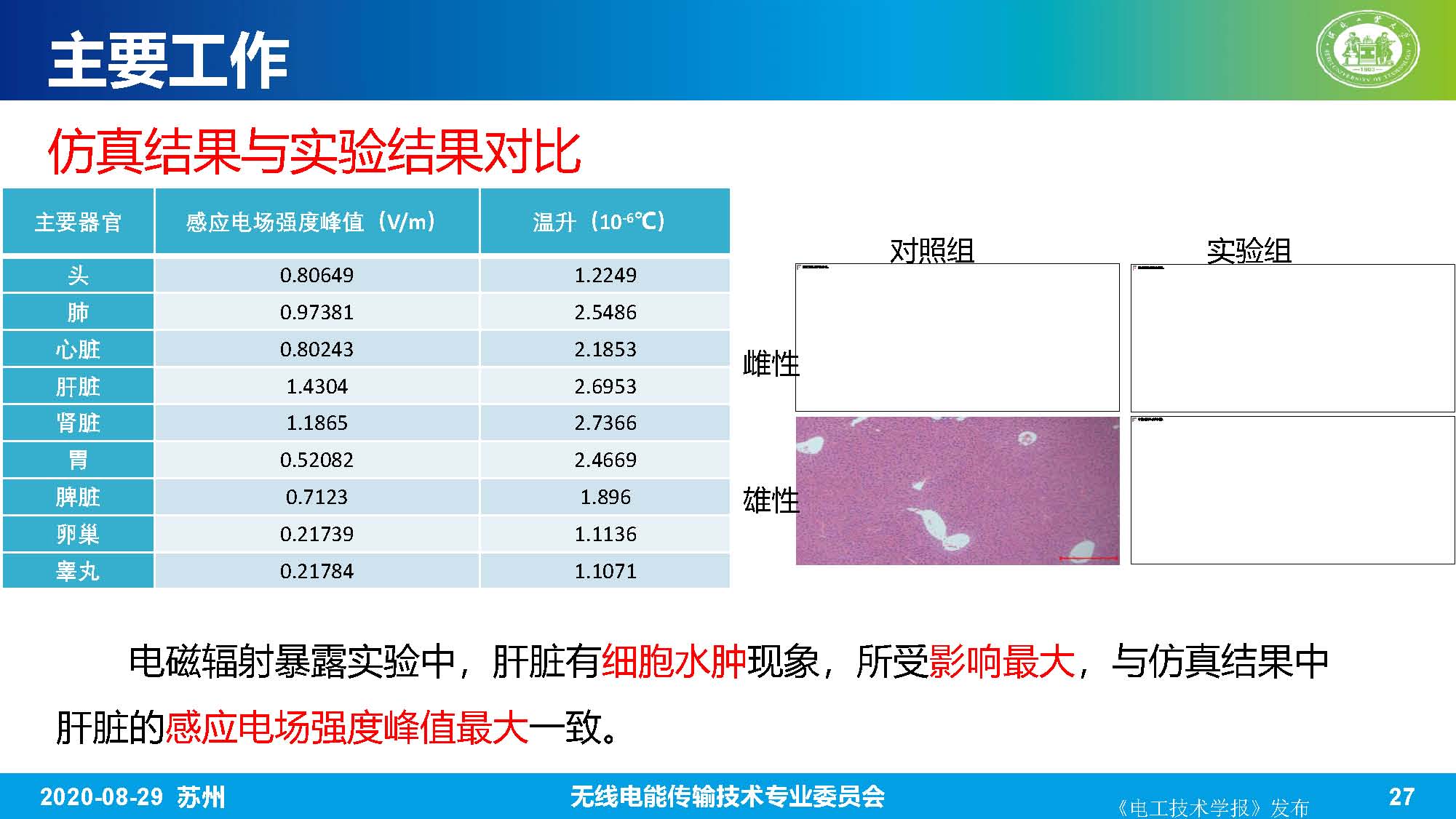 河北工業大學趙軍博士：無線電能傳輸系統的生物電磁綜合效應研究