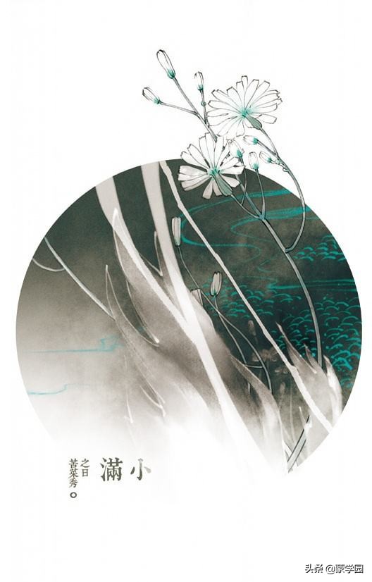 小满经典诗词，带你走近最美初夏！-第3张图片-非凡网