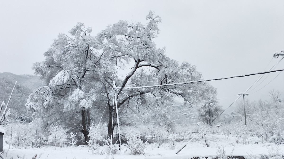 下雪啦！北京城区迎来2021年首场降雪，多图预警