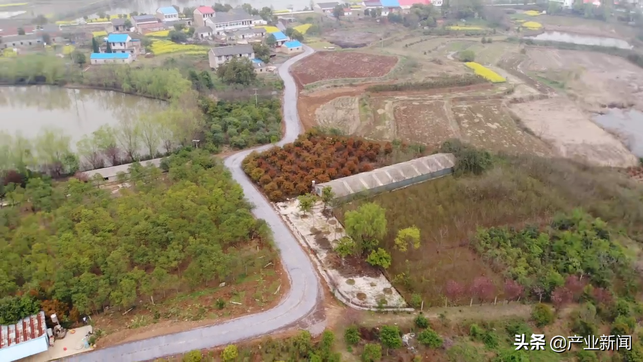 来今雨农场——一位退役海军开创的农业新天地
