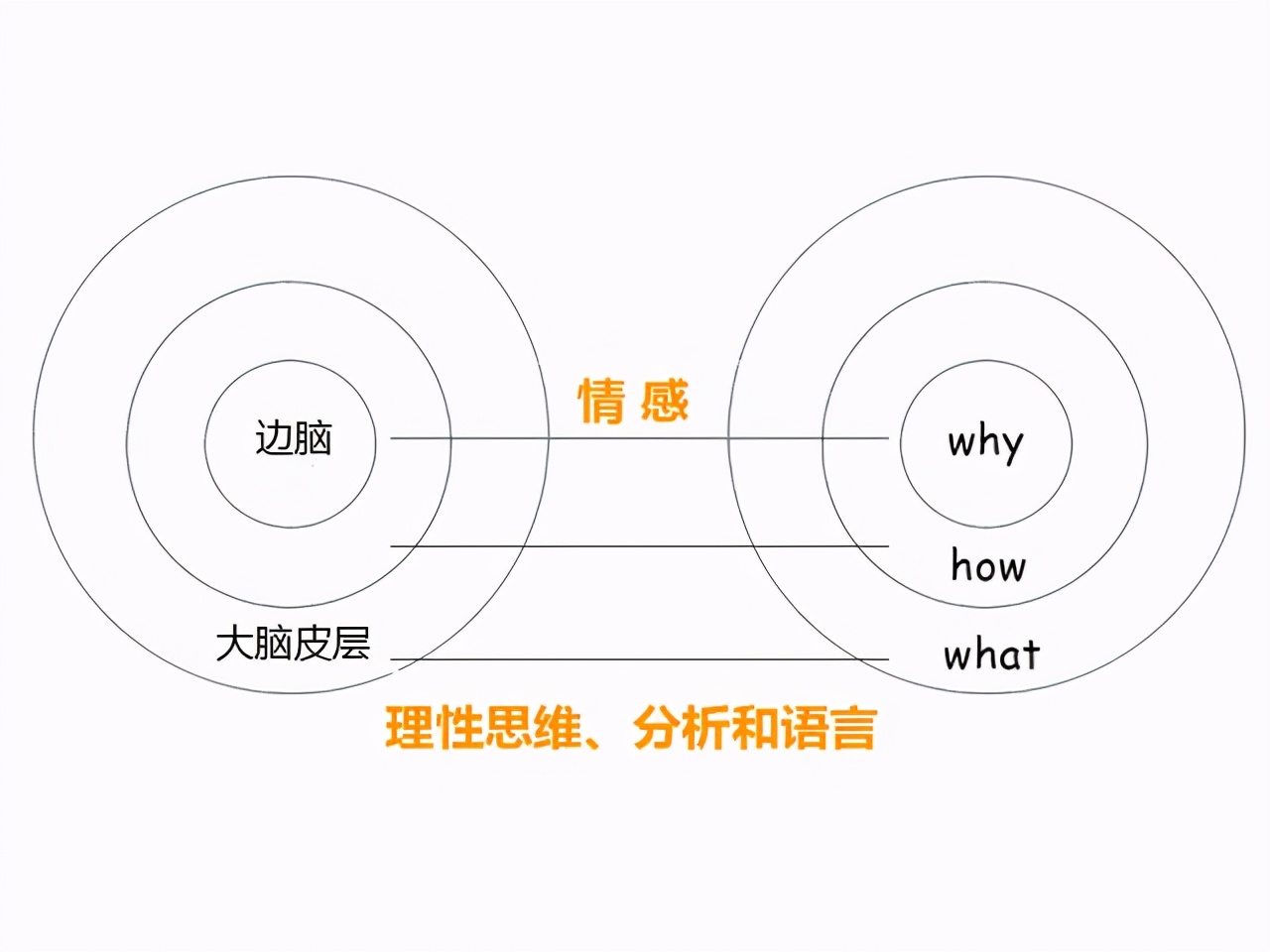 口才不好？四个方法，教你如何表达得有逻辑，掌握逻辑口才-第1张图片-农百科