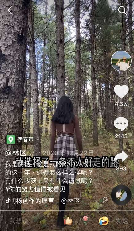 95后女孩“隐居”小兴安岭采蘑菇，网友：把日子过成了诗