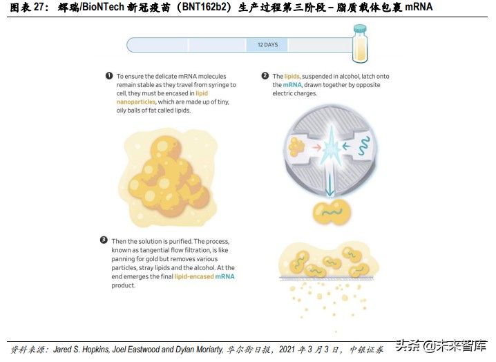 疫苗技术专题分析报告：mRNA疫苗开启疫苗行业新时代
