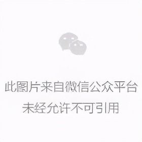 梦幻西游：「苏堤春晓」——天启第一队，人送外号“豹子天团”