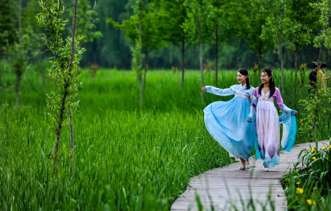 台儿庄运河湿地开园:久久不忘的色彩