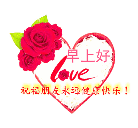 星期三最新版早安短信问候祝福语大全 把最美的祝福送给你图片