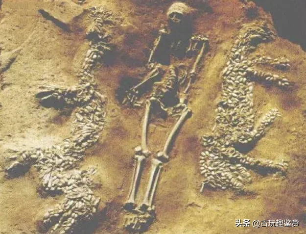 河南发掘史前遗址，挖出1.7米 “真龙”古物，难道龙真的存在吗？