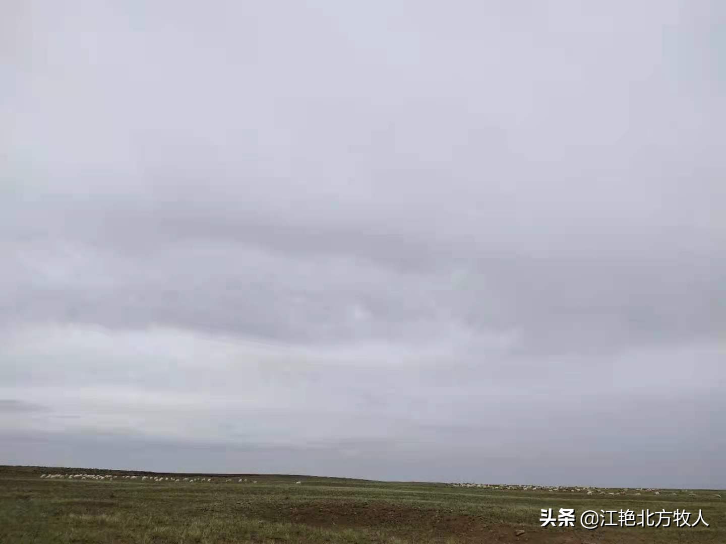 靠養(yǎng)殖到底能不能致富？江艷實(shí)話實(shí)說(shuō)，再聽(tīng)聽(tīng)她的致富經(jīng)