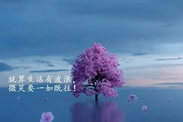 关于人生感悟的句子（人生哲理的句子经典） 第15张