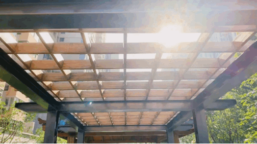 小而美，郑州这些公园你不容错过