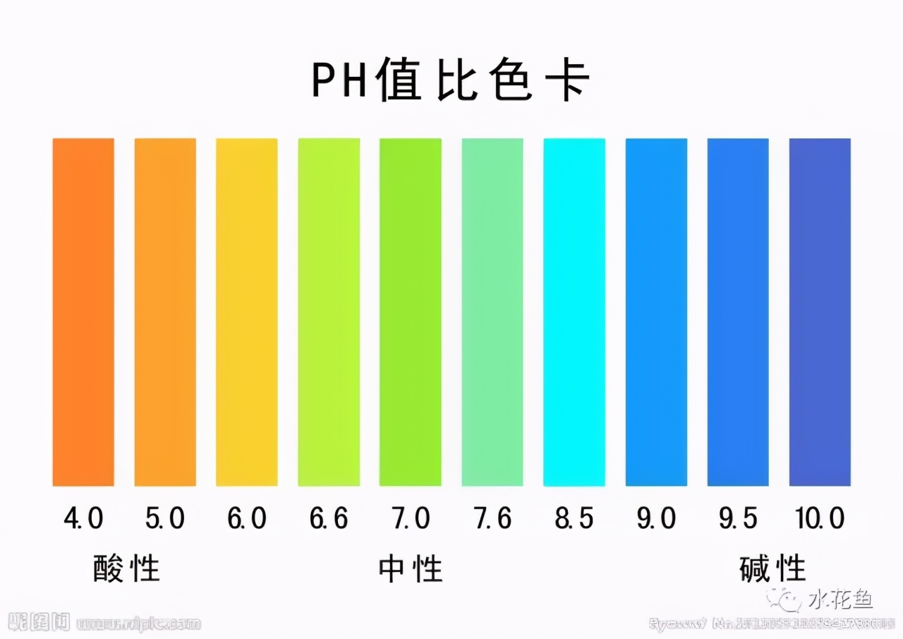 养殖水体pH值的作用和调节酸碱度的措施