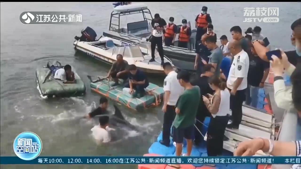 500斤伪虎鲸搁浅连岛 连云港渔政部门紧急救助