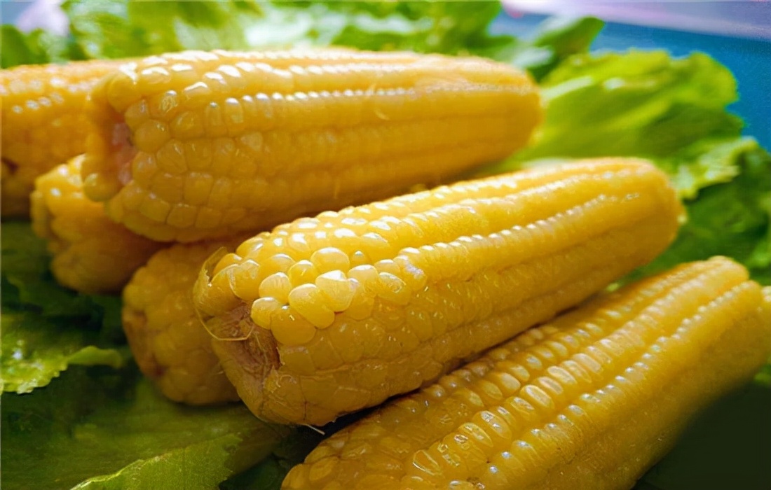 玉米热量有多少（为什么减肥期间吃玉米可以减肥）