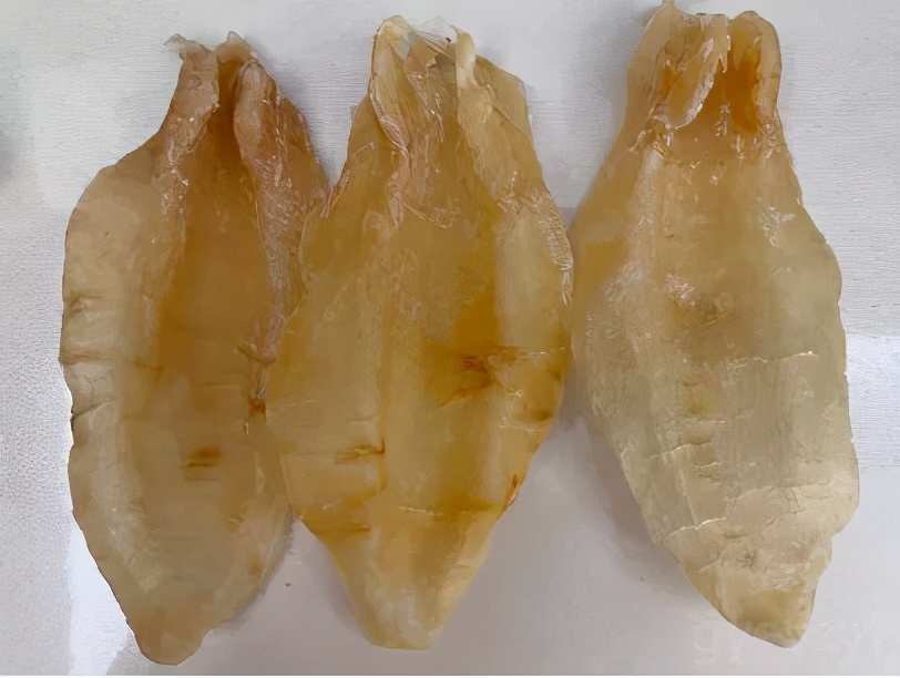 细说“海洋人参”——花胶