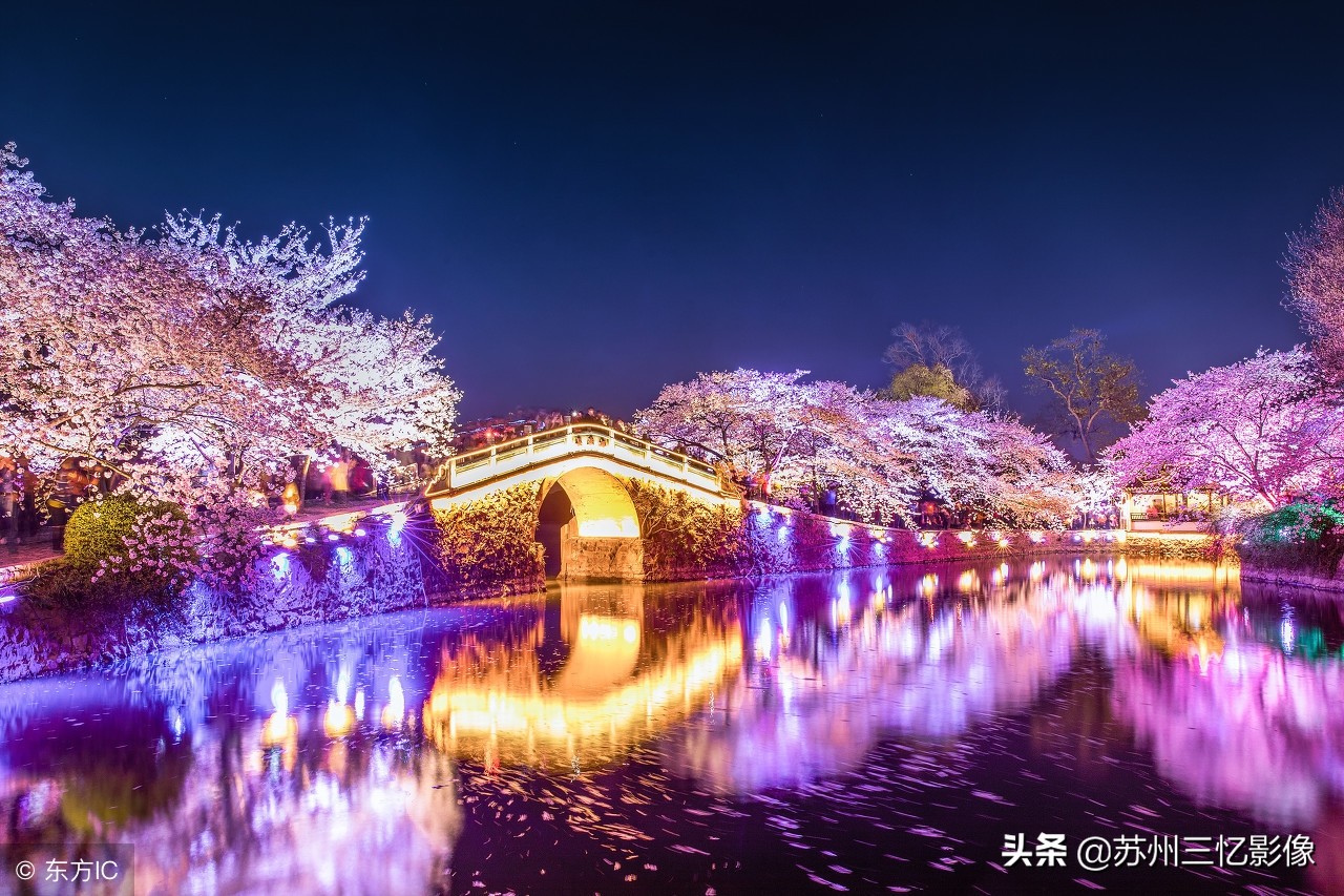 一处江南赏樱胜地——无锡鼋头渚
