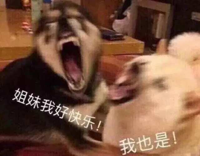 一个人的七夕,该看哪部妖怪新番?