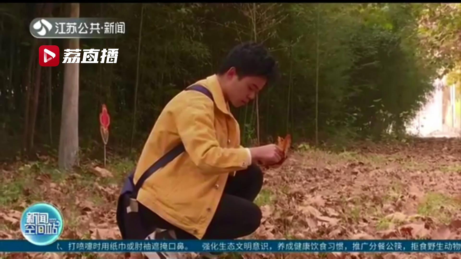 在树叶上雕刻九位共和国勋章获得者 这个工科大学生手真巧