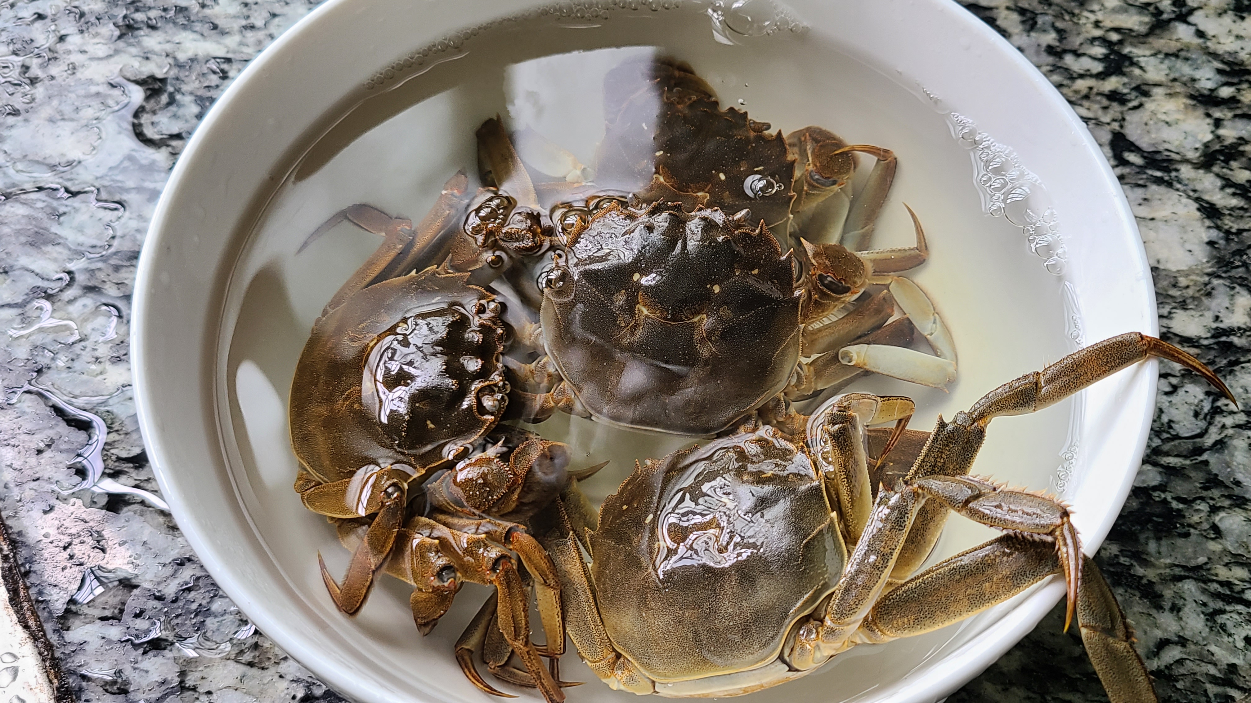 螃蟹的家常做法，鮮香美味又營養，一口咬下去，滿嘴的蟹黃