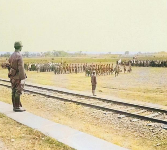 警卫员投靠日军血债累累，我军锄奸定妙计，杀