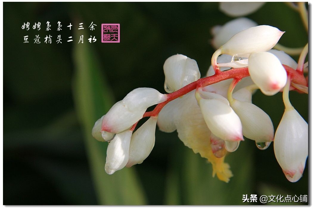 绝美爱情诗词：我见众生皆草木，唯你是青山-第6张图片-非凡网