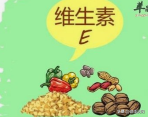 健康知識普及行動系列科普知識講座之合理膳食篇