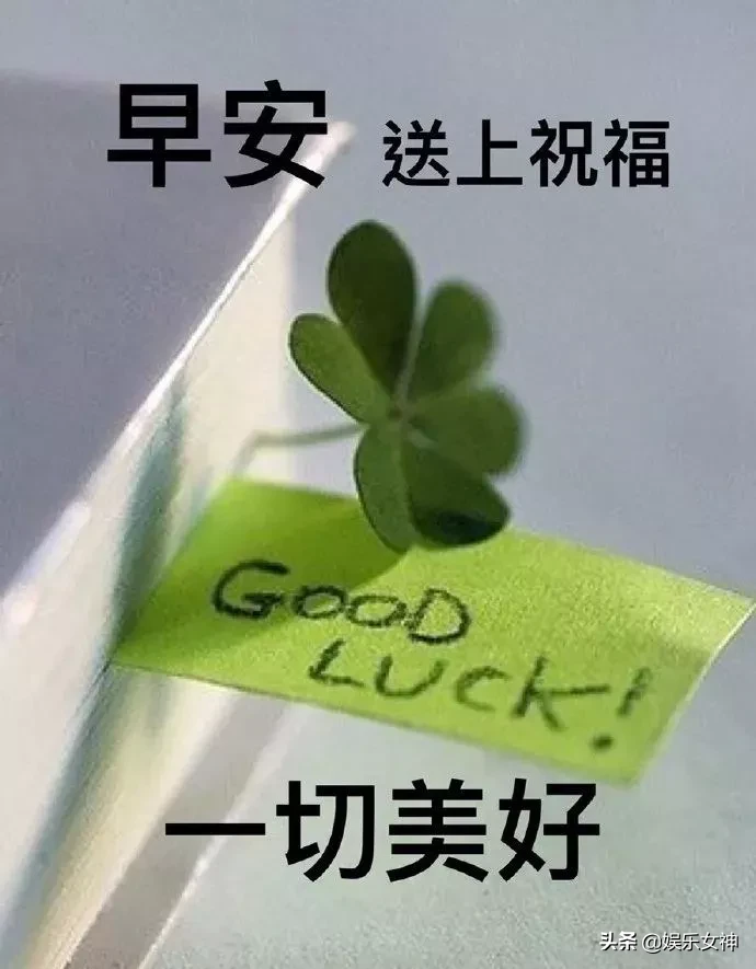 非常漂亮微信群早安问候图片，经典温馨的早安问候短语图片