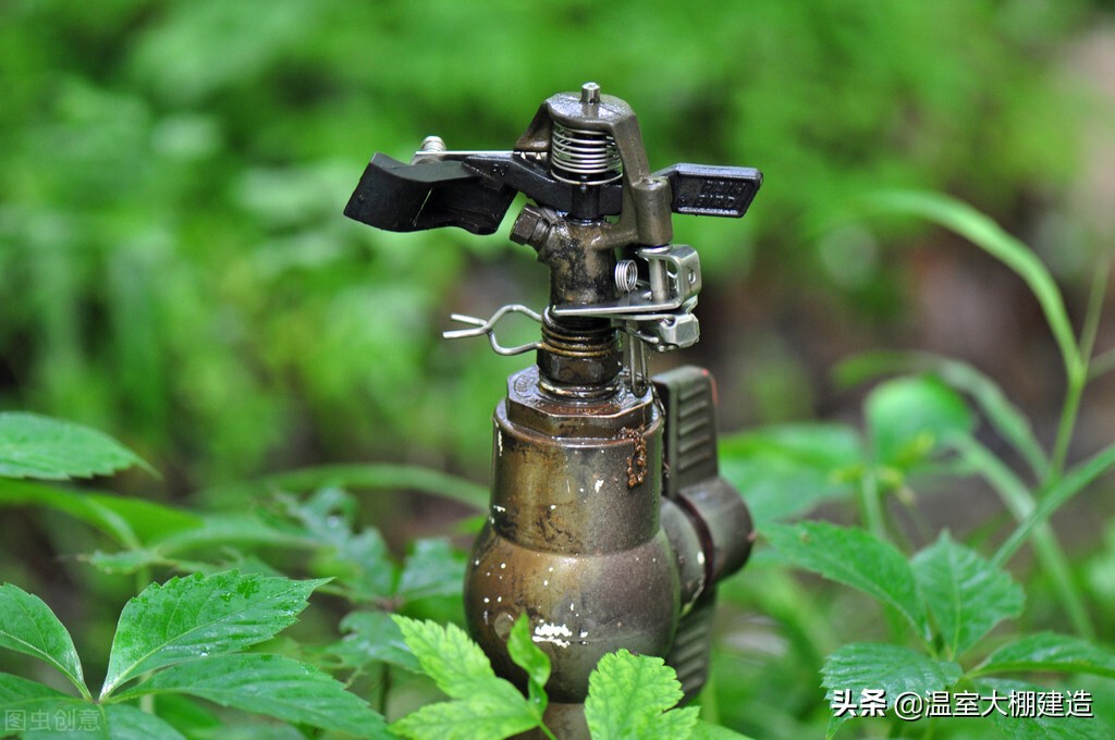 温室大棚中水肥一体化的应用技术你有了解过吗？