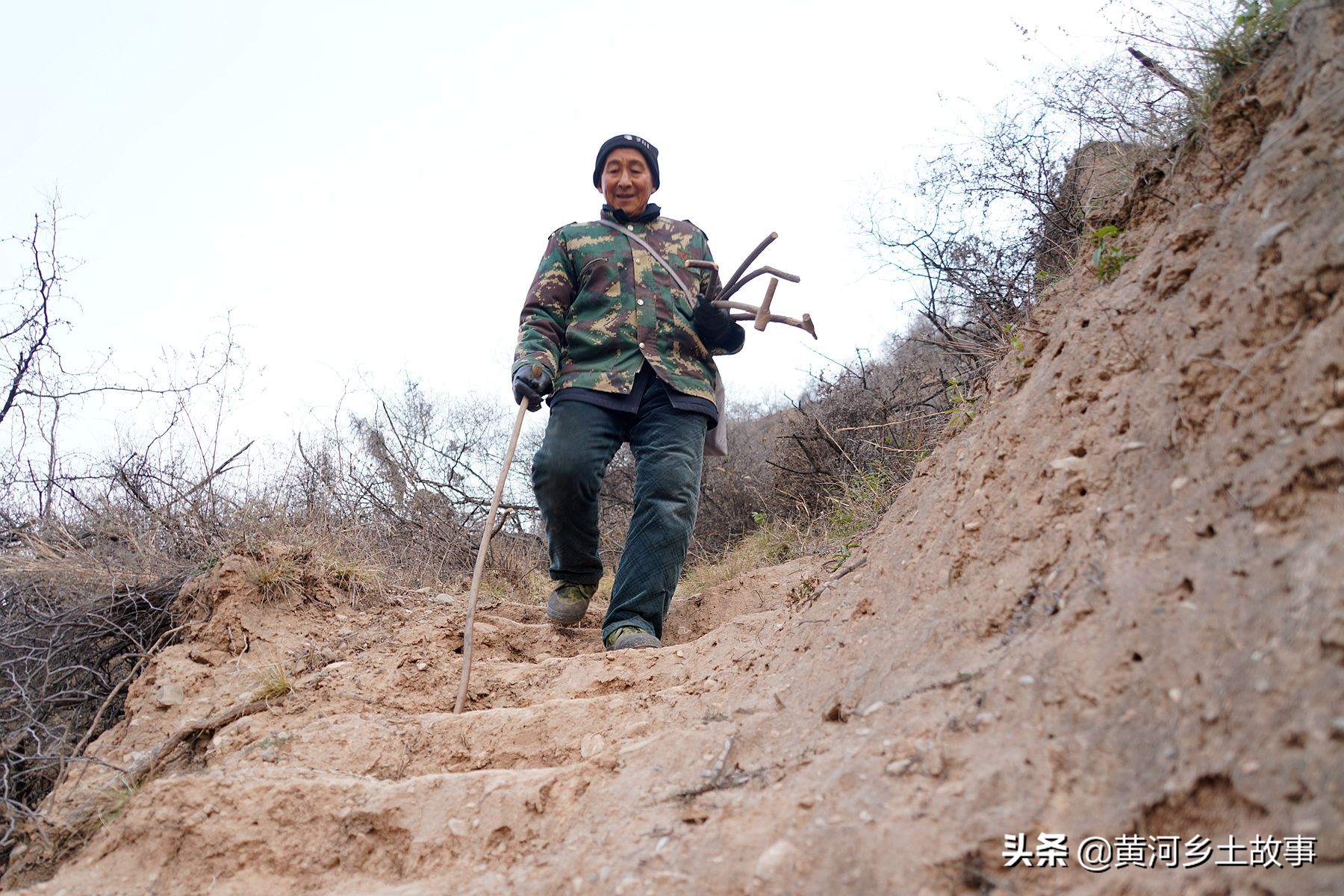 山西大山发现“凤凰”，6旬农民大叔守护6年，看鸟儿活成啥样