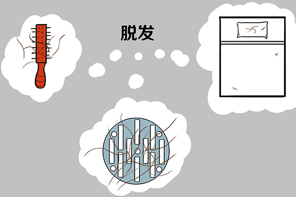 头发太长会吸走人体营养吗？脱发与头发长短有没有关系？