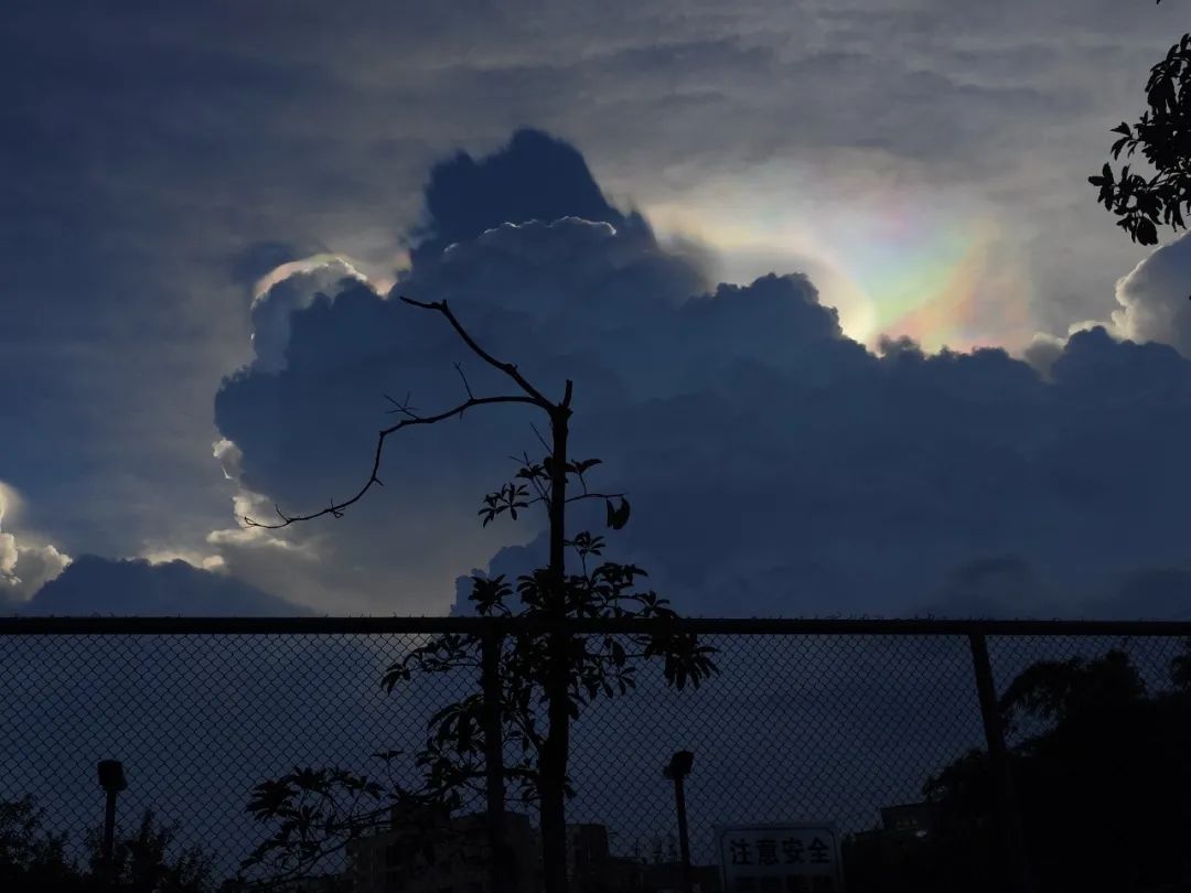 Small happiness | Those who record the life is small I hope truly -- crepuscular piece