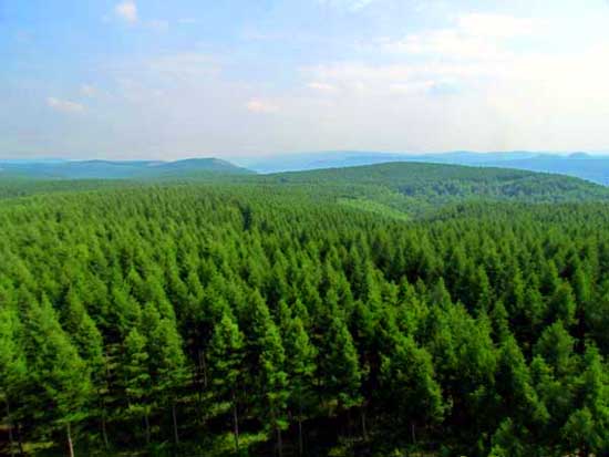 河北旅游：塞罕坝生态体验之旅（图）