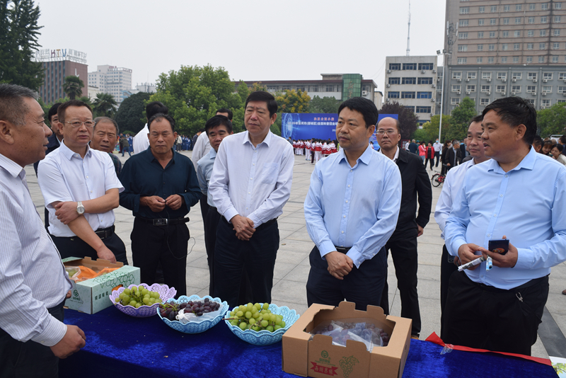 2020年漯河市全国科普日主场活动暨青少年科技创新市长奖颁奖仪式举行