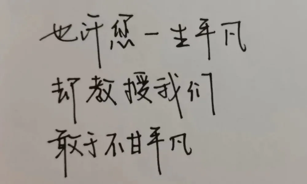 大河报汽车网