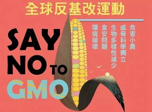 为什么说广西玉米是国人的痛？网友：当年我们