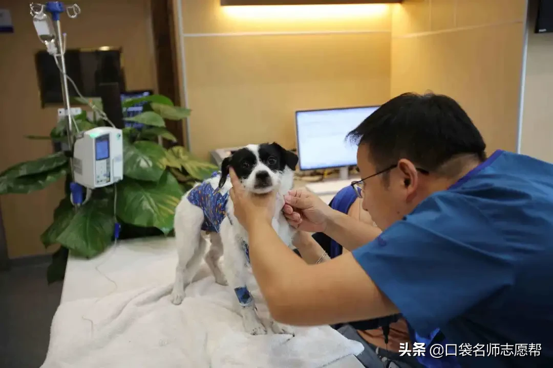 刚过一本线就能上！这44所双非大学不仅专业牛，关键分低