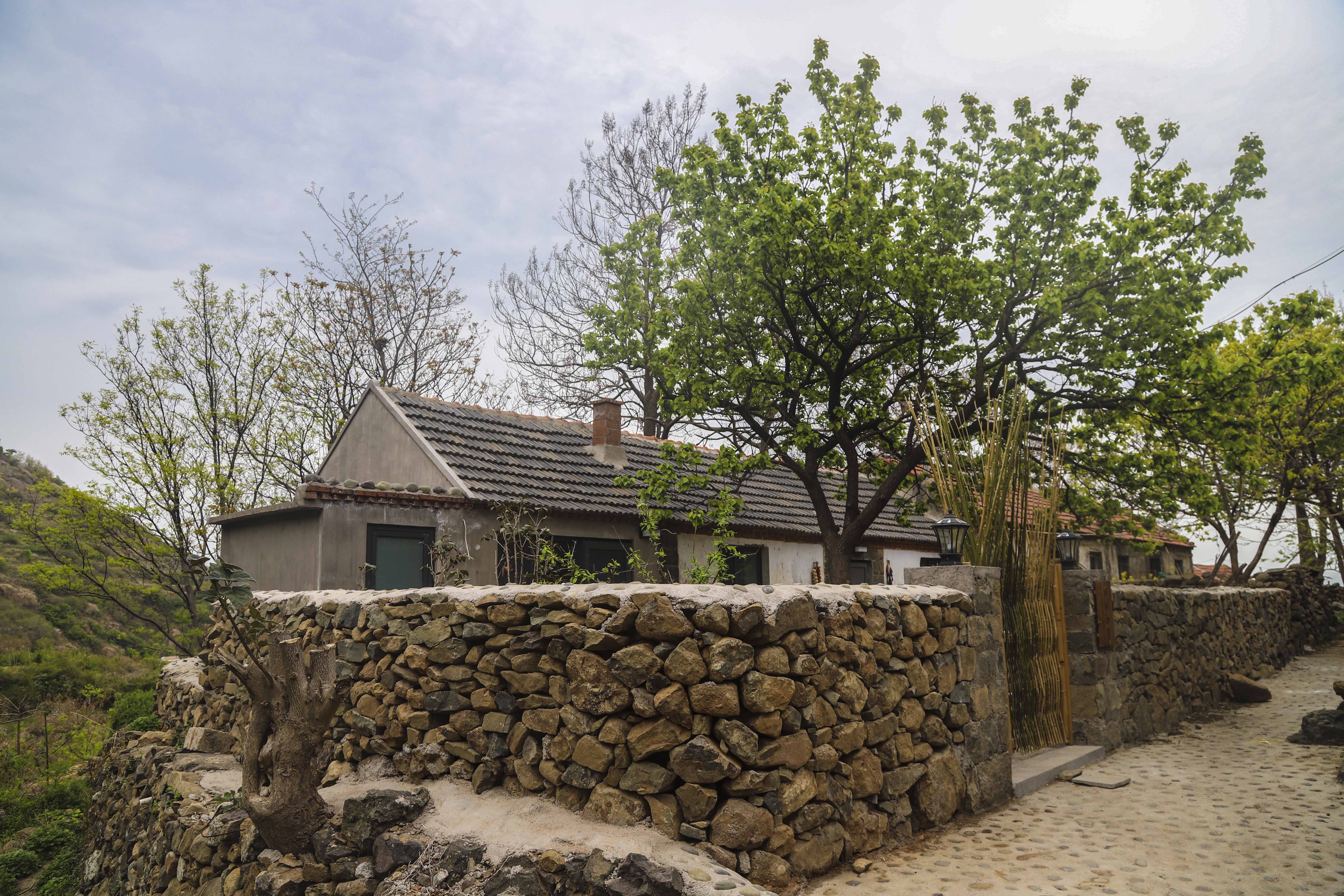 北方第一高岛青岛灵山岛上的民宿水灵山舍风光满目依窗凭栏可以看海