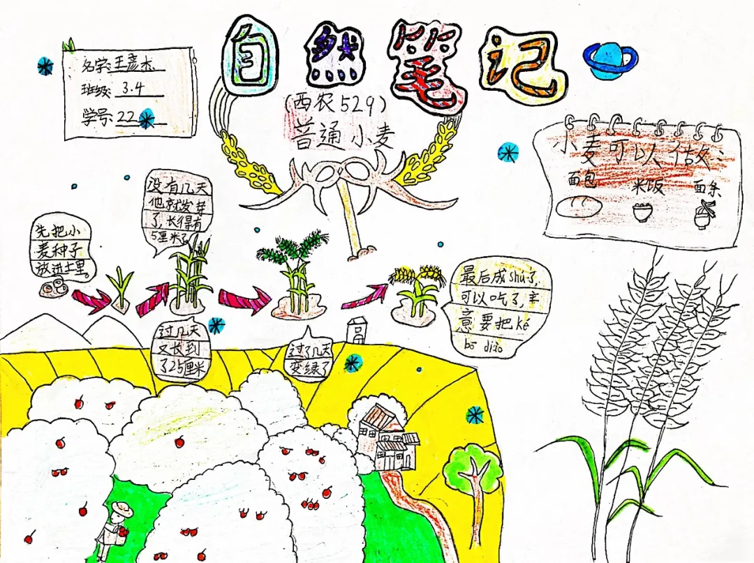 玩转科技节，开广好奇心——天府新区华中附小首届科创节活动