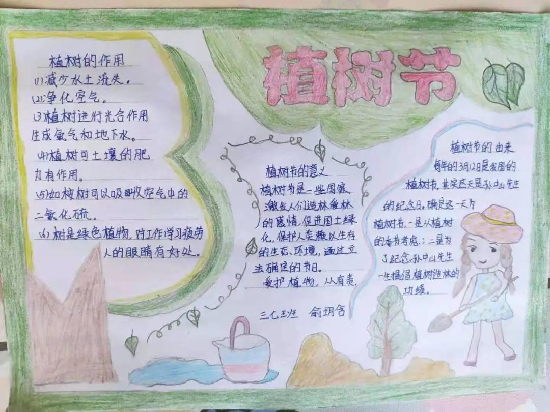 ��֮��.ֲ�̻���--�����еھ�Сѧֲ���ڻ��Ӱ