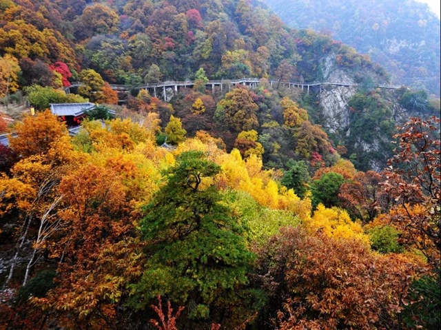 10月20日 渭南文化旅游資訊微報(bào)（組圖）