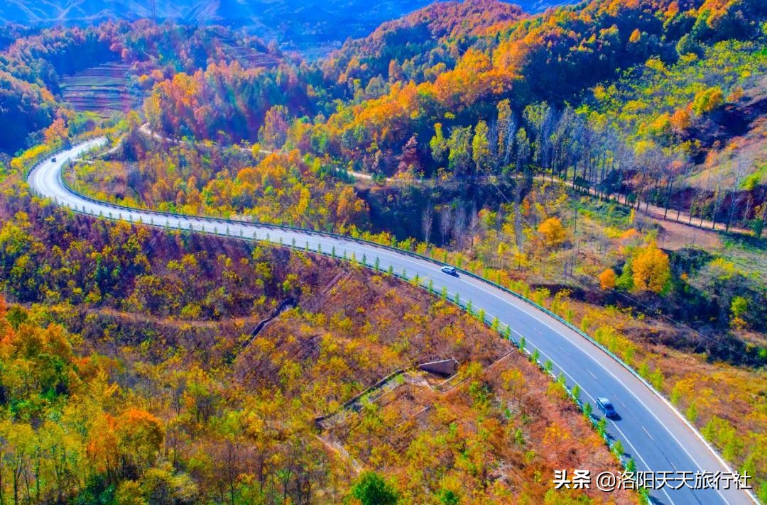 洛阳自驾游路线推荐——10条“美乡村旅游路”